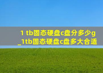 1 tb固态硬盘c盘分多少g_1tb固态硬盘c盘多大合适